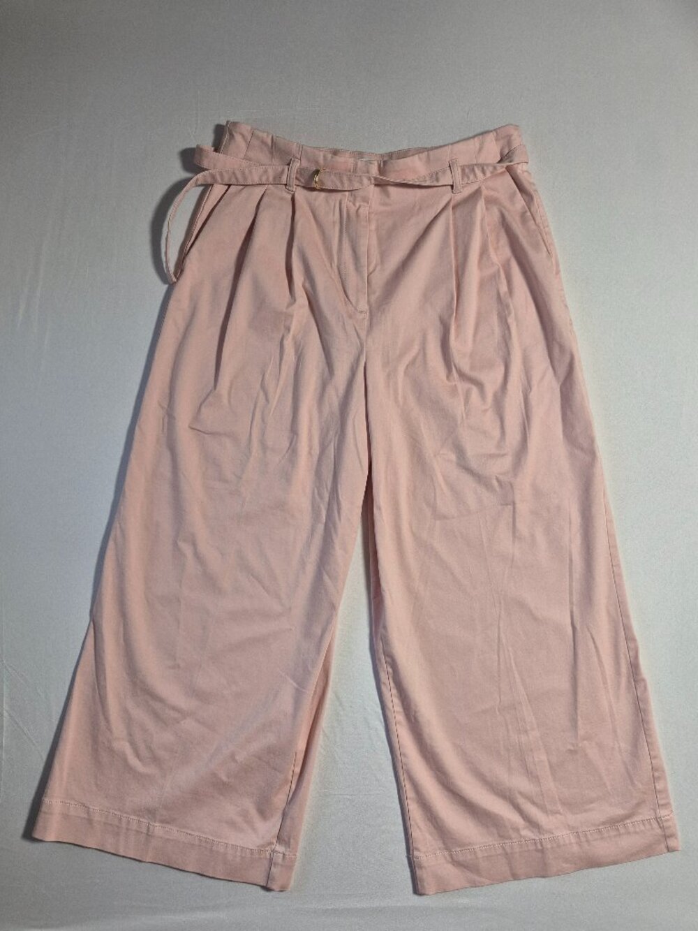 NWT Ann Taylor Weekend Pink Wide Leg Culottes Women’s  Pants Pleated Size 10